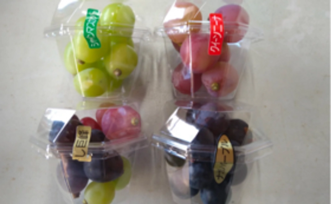 【手軽においしく】ぶどう粒コース