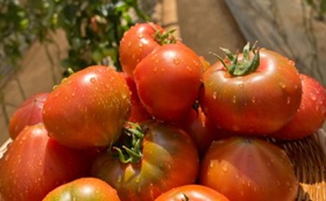 デリシャストマト1箱