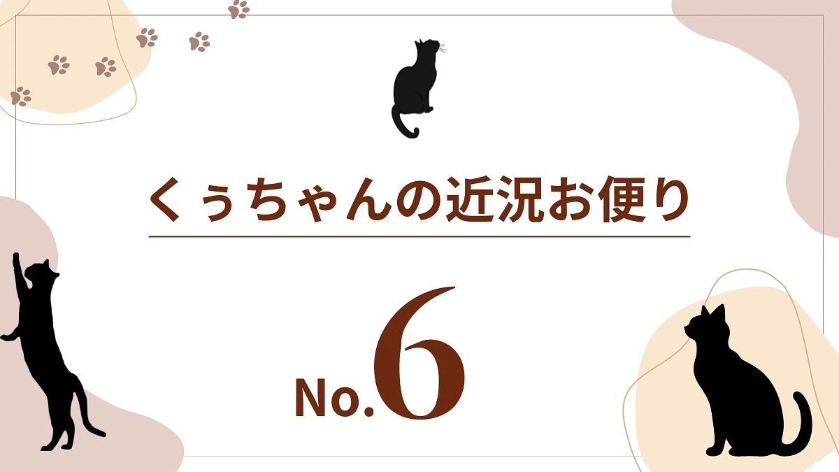 【くぅちゃんの近況おたより（8月10日〜11日）】
