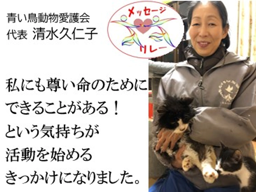 メッセージリレー１． 代表清水：「こんな私にもできることがある」と愛護活動を始め