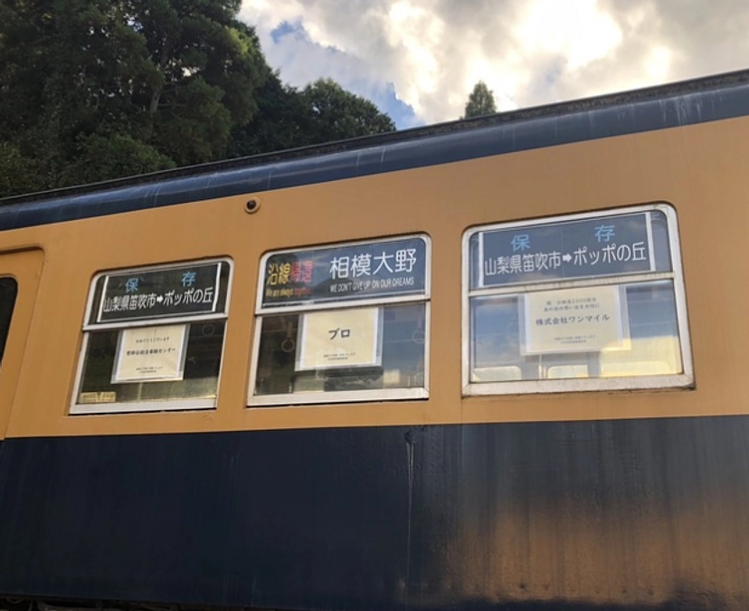 【支援の証で応援】各種掲出完了のお知らせ