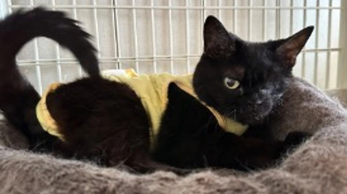 今日も嘔吐していました・・・