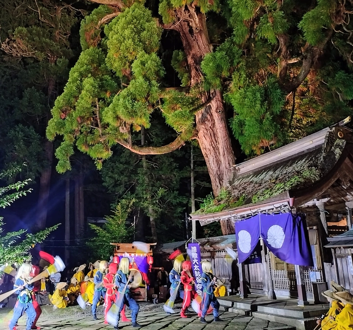 若狭姫神社(下社)千年杉ライトアップが行われました