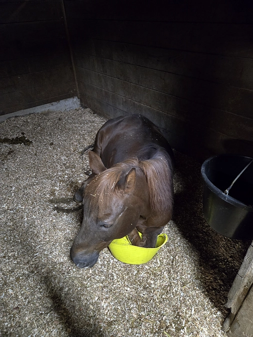 【最終目標達成の御礼】たくさんの温かいご支援をありがとうございました！