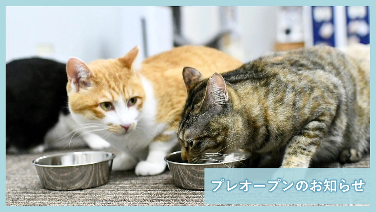 プレオープンのお知らせ