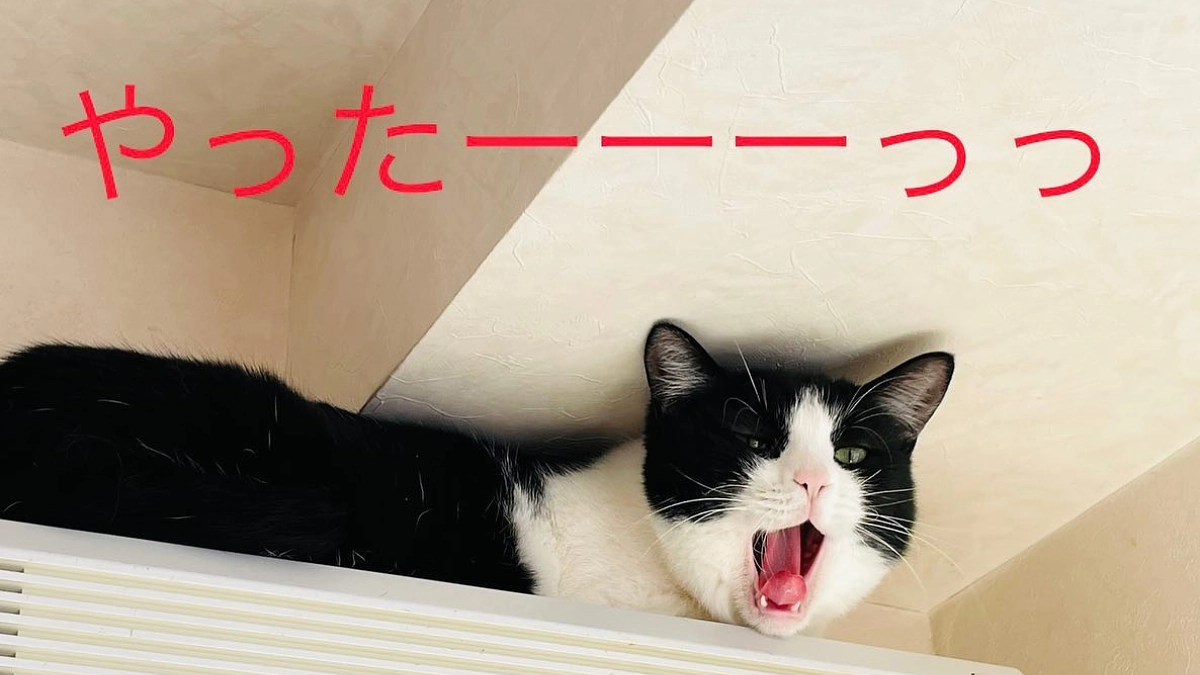 【祝！】第一目標達成しました！ネクストゴールに挑戦します！！