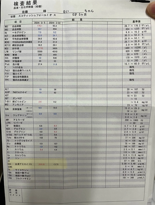 2024.3.22. 受診