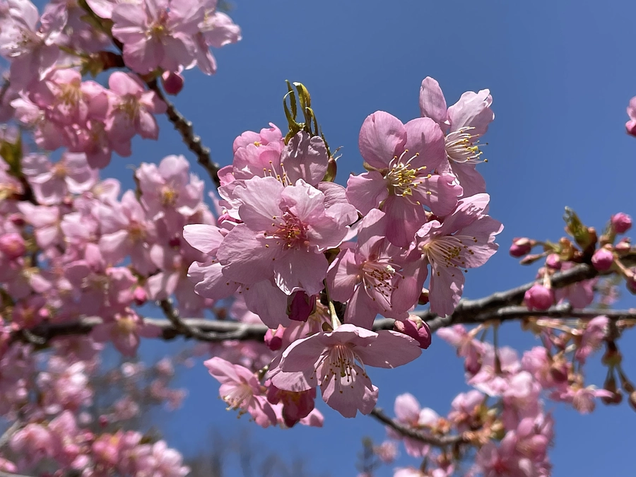 クラウドファンディングとは