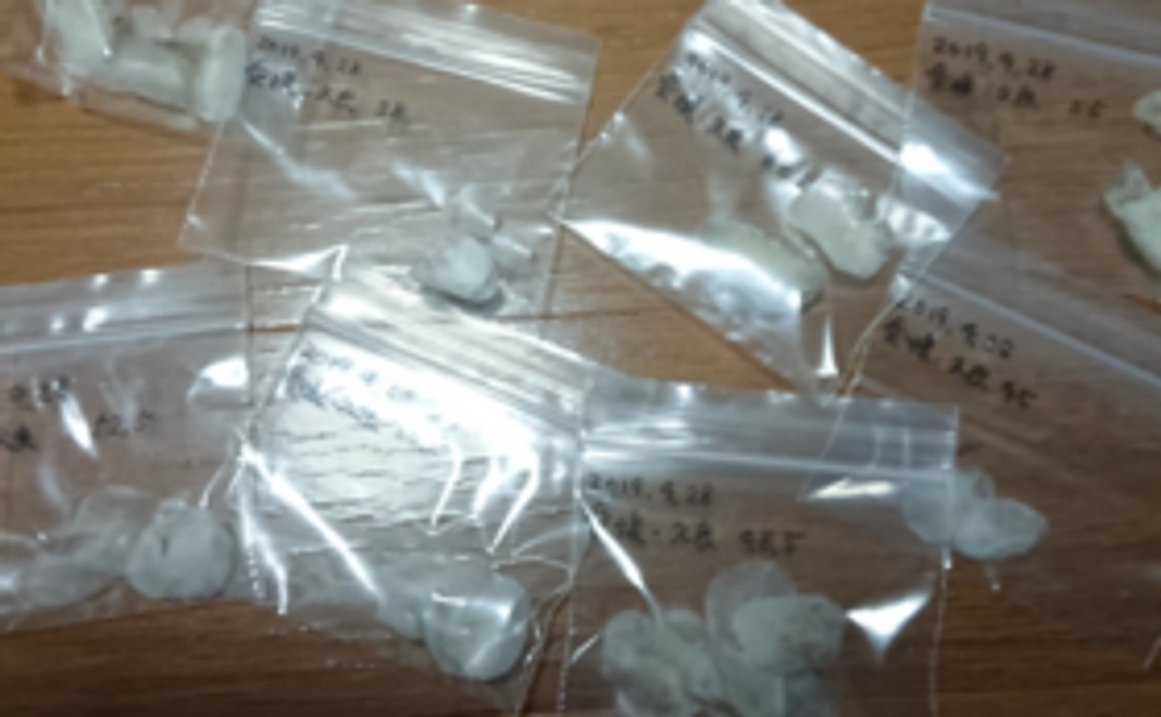 お礼状＋鱗を使った小物