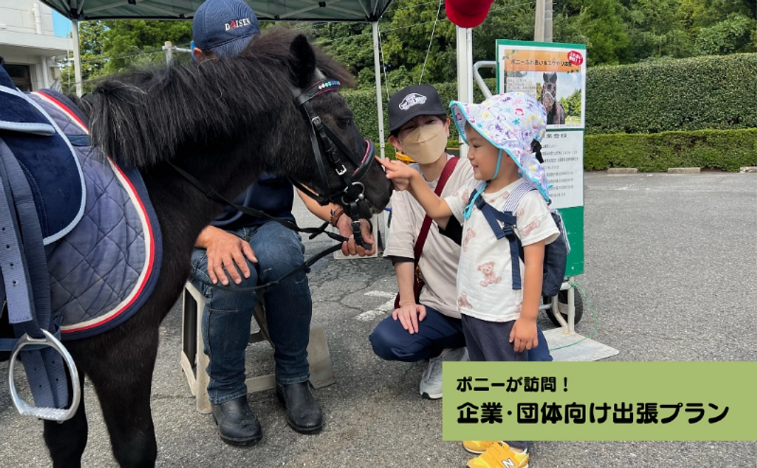 【ポニーが訪問】企業・団体向け出張プラン