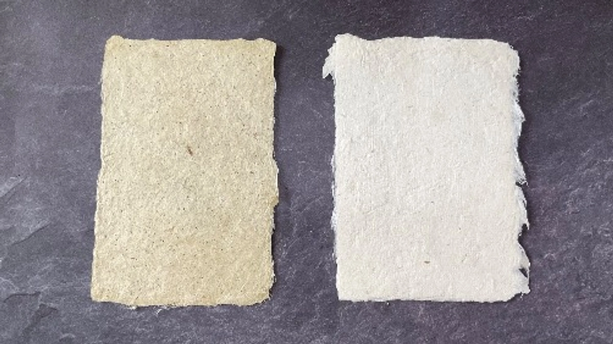 返礼品のポストカードを漉かせてもらいました！