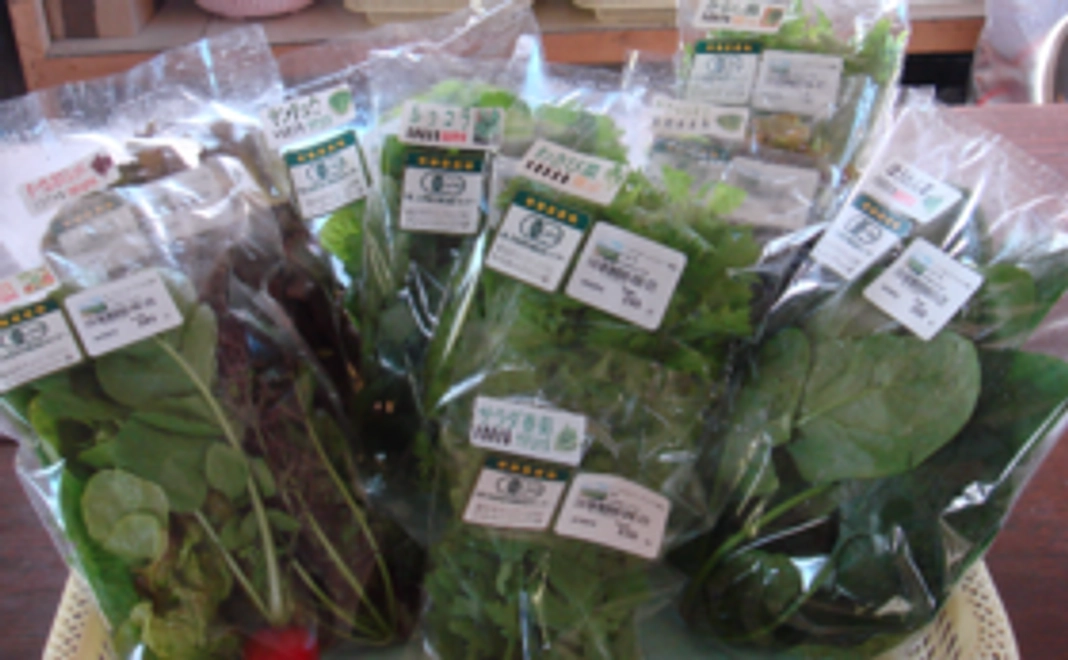 有機野菜お届けコース｜旬の有機野菜3種類セット