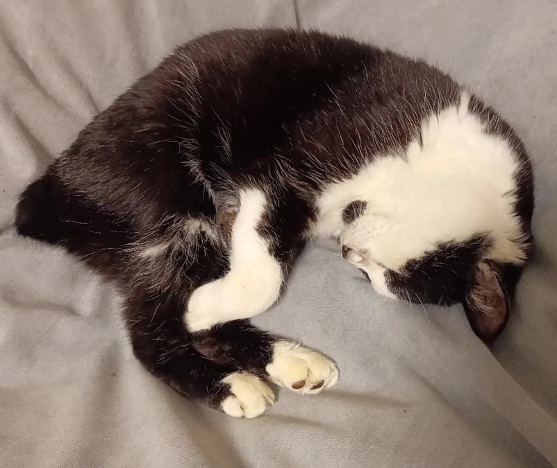 手術日の前倒し