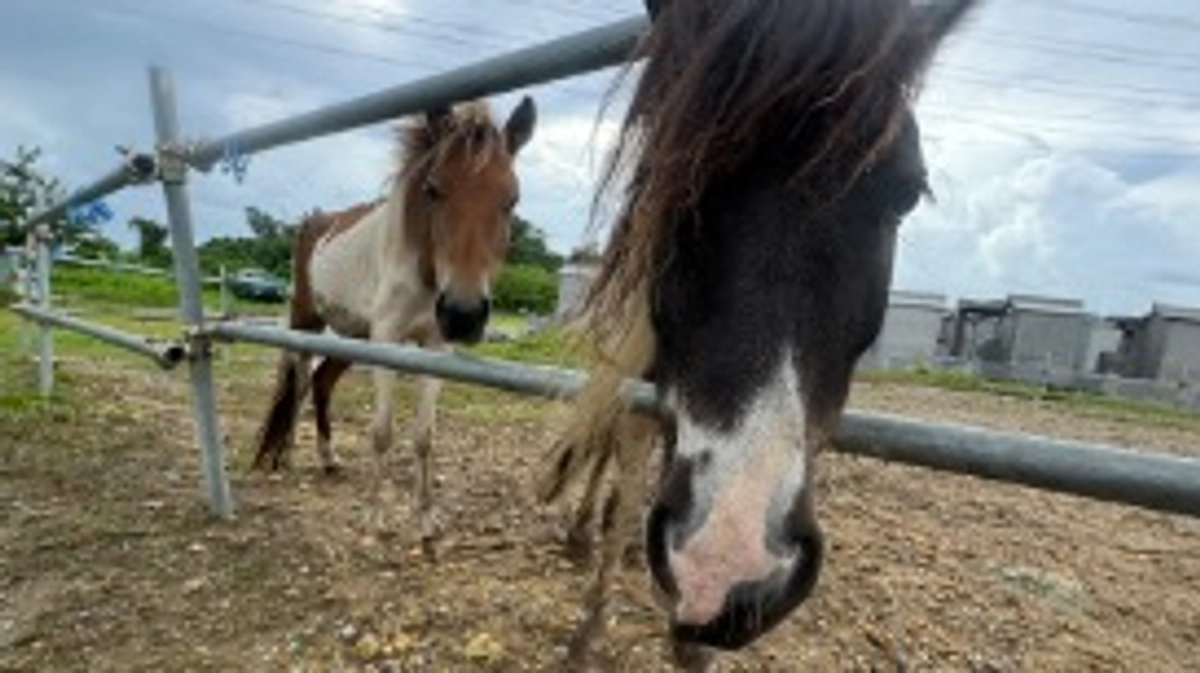 みんな無事です！