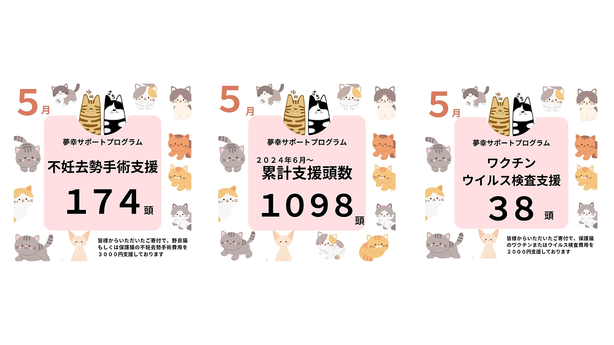 5月も皆様のおかげで212頭の猫ちゃんに支援できました！