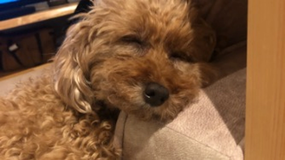 ありがとうございます🙇‍♀️