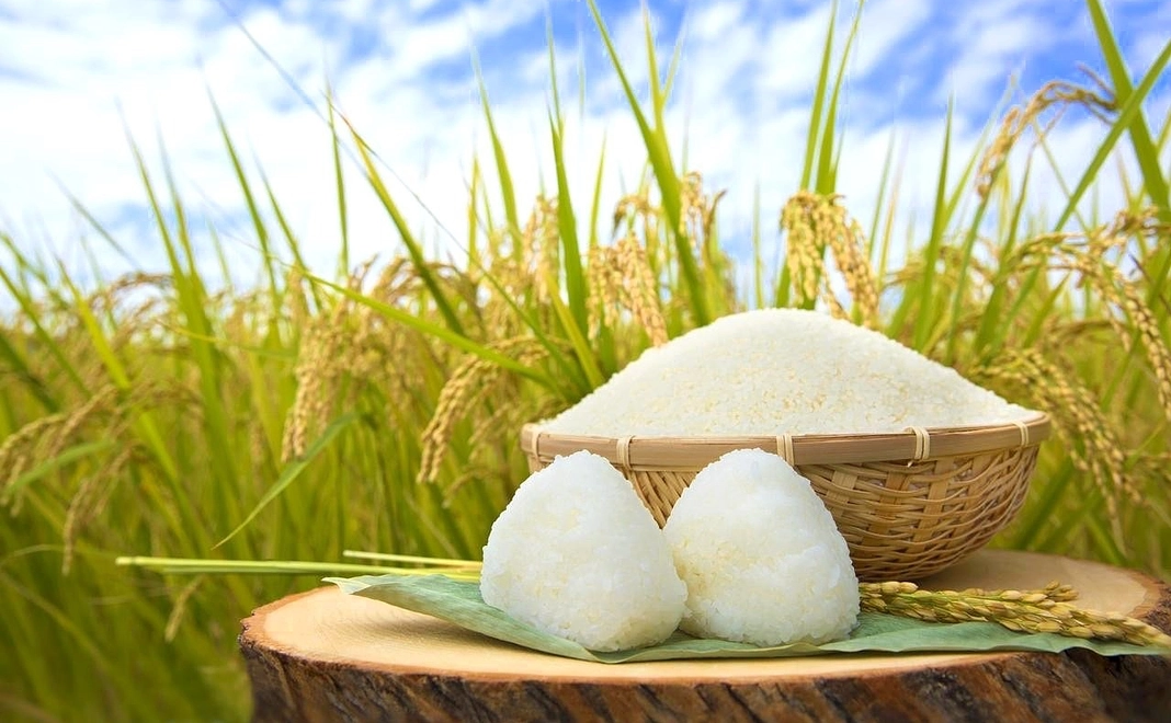 【産地直送】おばあちゃんが泣いた四万十村のお米３ｋｇ 四万十村産