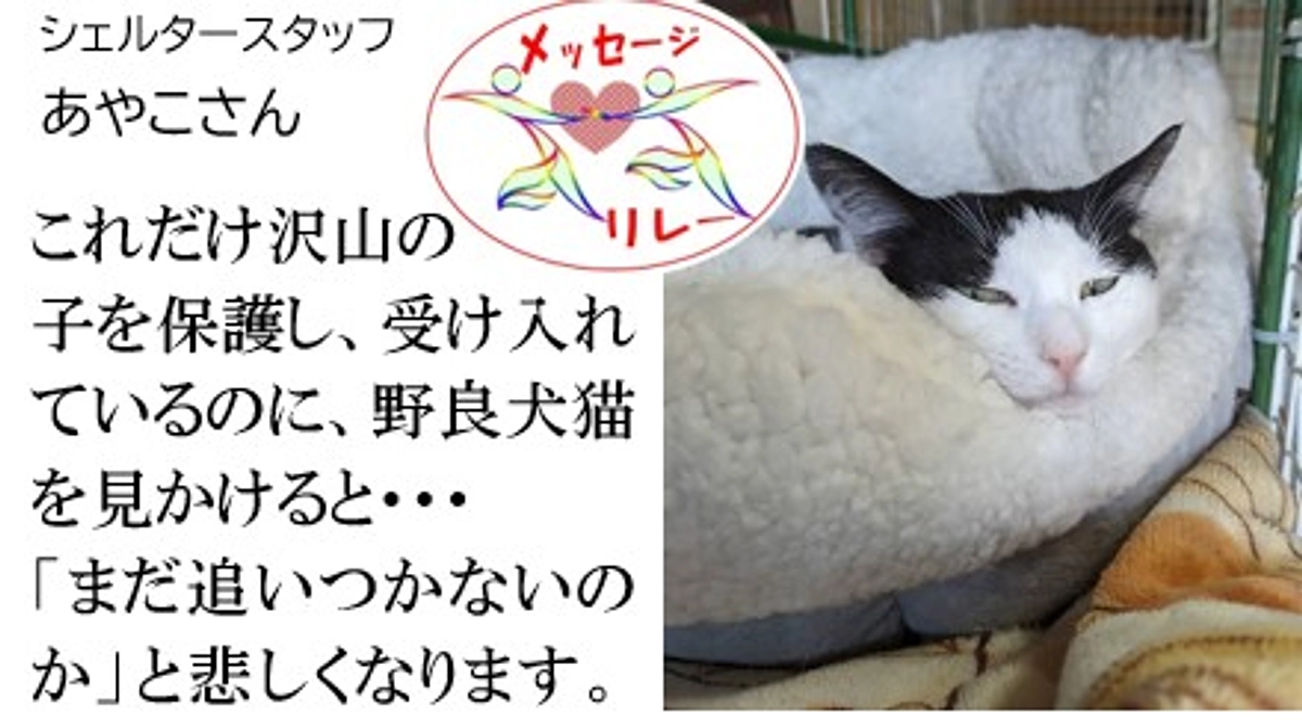 リレー９．「まだ追いつかないのか」と悲しくなります