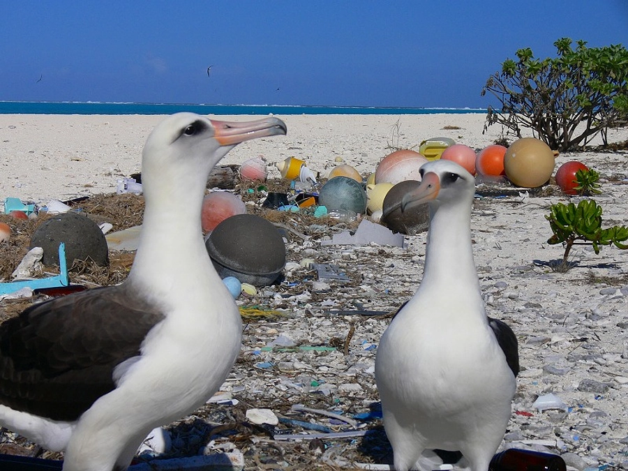 あと6日！プラごみ流出抑制に向けて、引き続き応援をお願いします。