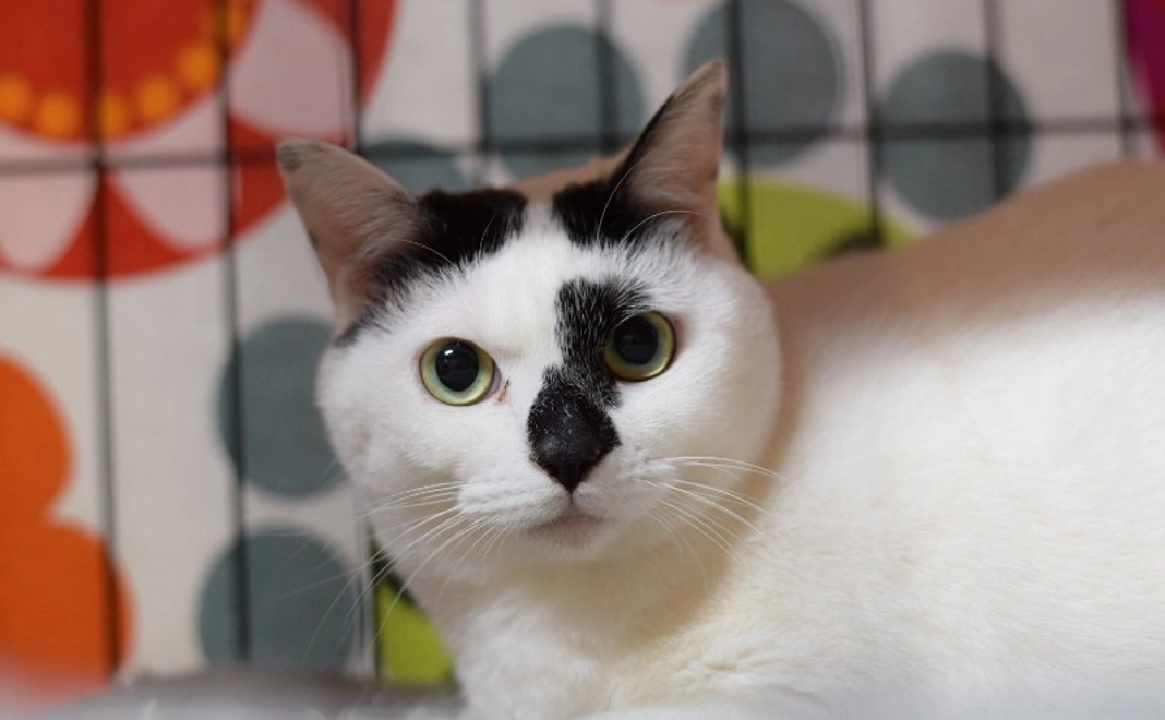 【リターン不要】全力応援コース｜3千円