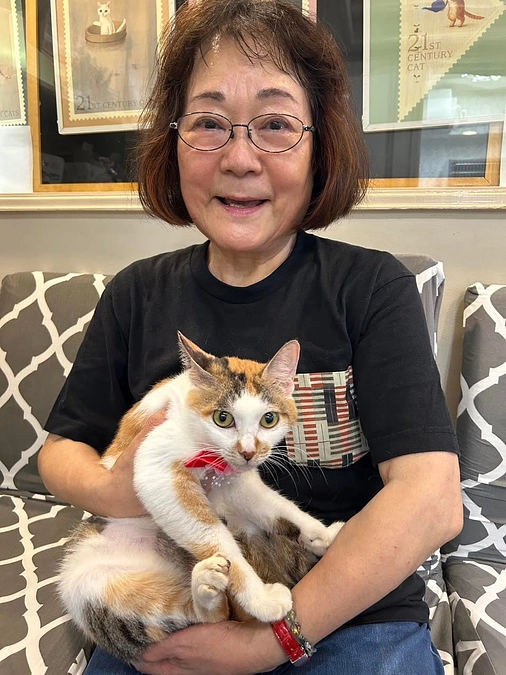 猫を家族に迎えることで被災地のお役にたちたい～三毛猫あんずちゃん、幸せになったよ