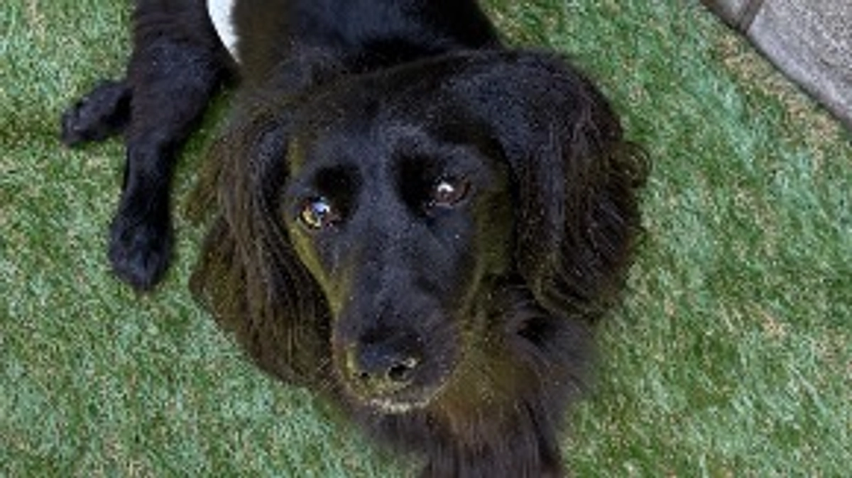 脚少し動き始めました！！❤️