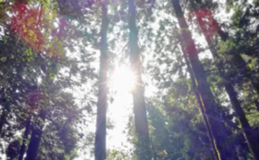 ワクワク返礼品コースA