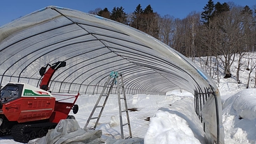 北海道の豪雪地帯から自然栽培のお米を届けたい！除雪機購入のご支援を のトップ画像