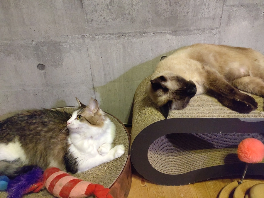 ★2023.7/1投薬開始79日目★