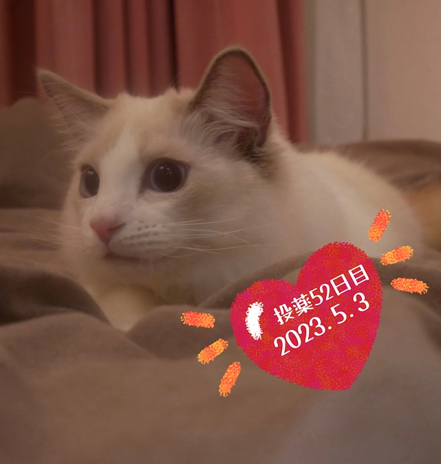 投薬５２日目(2023.5.3)&ご支援のお知らせ