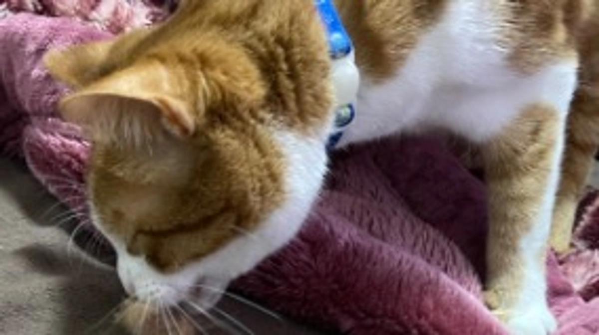 残り2日となりました。