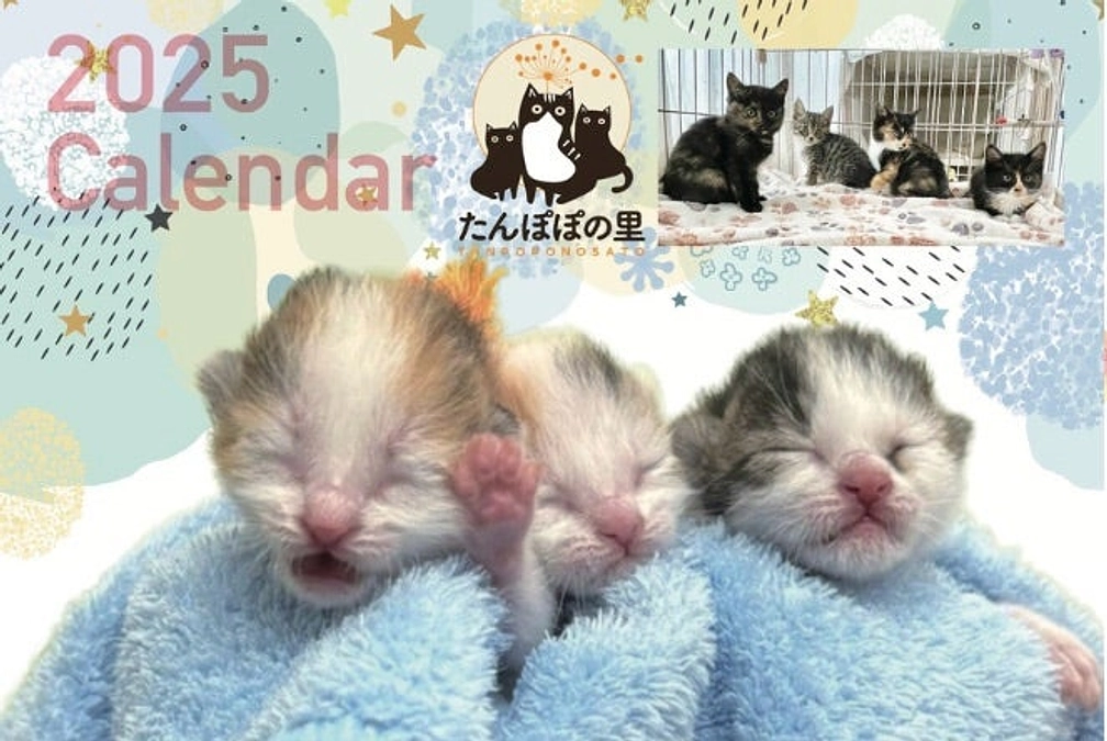 チャリティカレンダー販売のお知らせ（アメブロより転載含む）