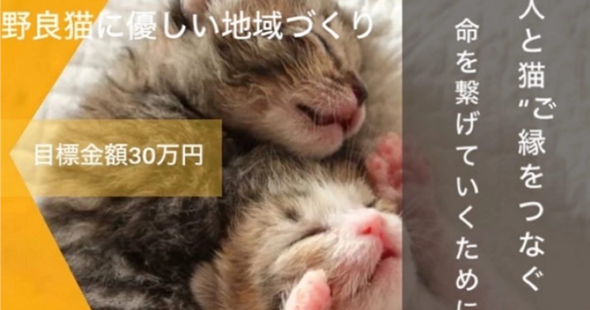 グランドファンディングSTART(１日目)