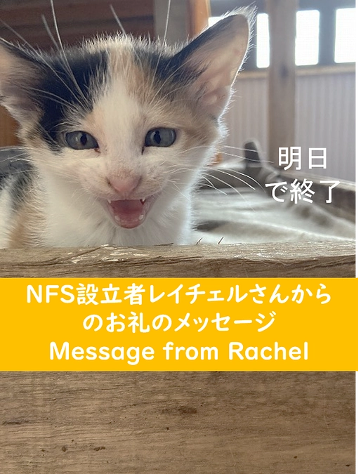 NFS/レイチェルさんからのお礼の言葉　Message from Rachel Kague 