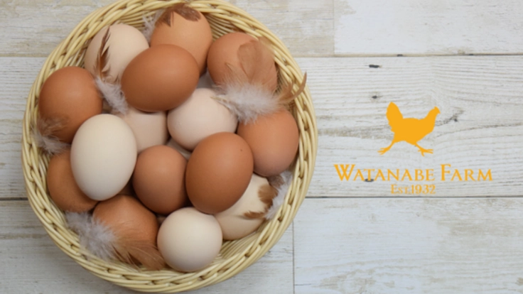 ワタナベファームの産みたて卵をいつでも食べてもらいたい！