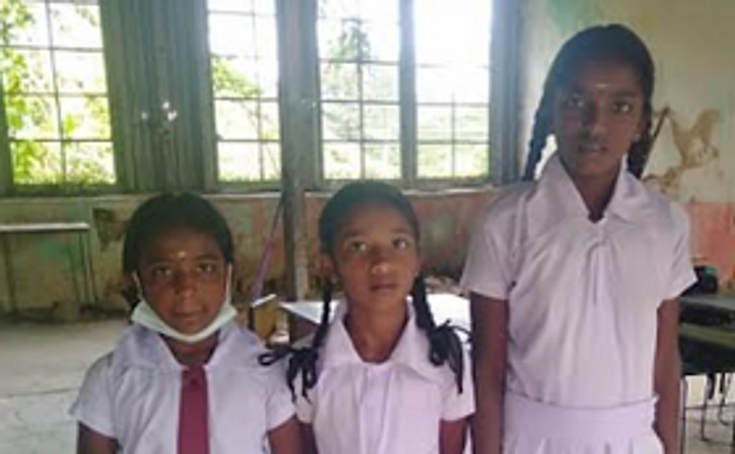 紅茶25ｇ・ポストカード・感謝のメール