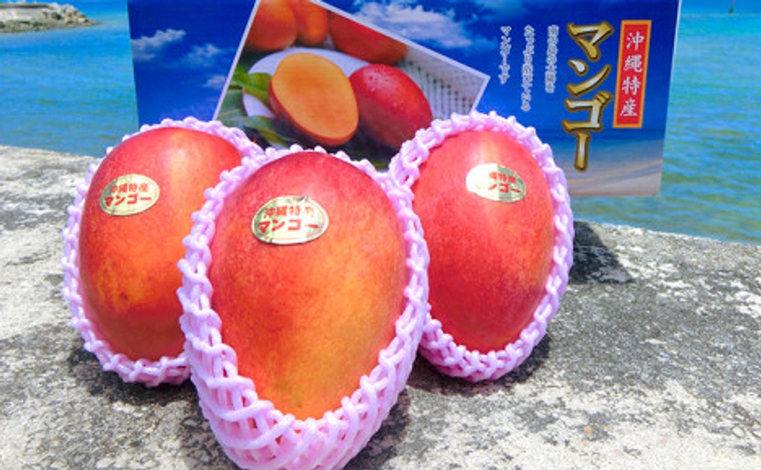 【返礼品あり寄付型】久米島産完熟マンゴー1.2㎏（3玉）