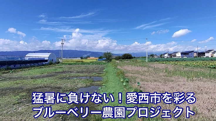 使われなくなった田んぼを再生し、猛暑に負けないブルーベリー農園を！