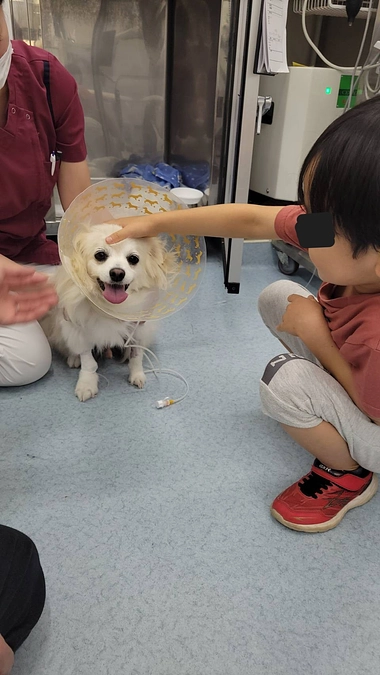 術後3日目、初めての直接面会