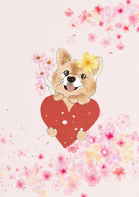 🆘残り2時間🆘最後のインスタライブ