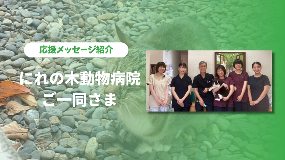 にれの木動物病院ご一同さまより応援のメッセージをいただきました