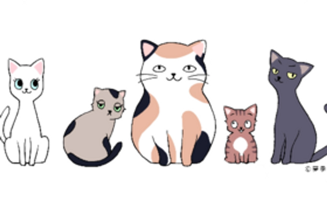 本部飼育施設での保護猫飼育体験（2ヶ月）