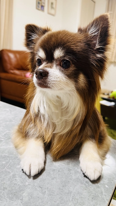 今日は夕方からの雷雨にビックリして。。。