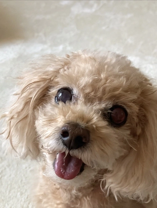 無事1ヶ月検診終わりました