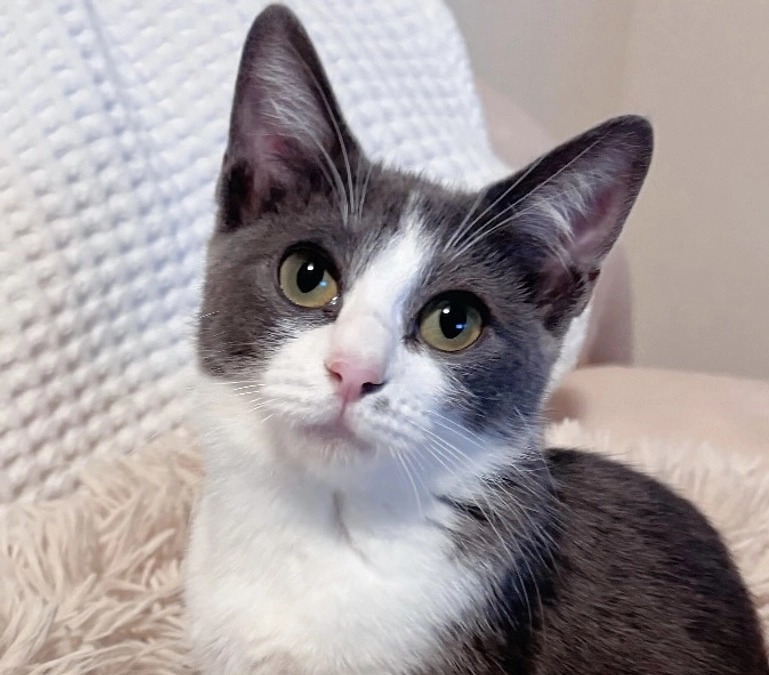 明日は血液検査の結果・・・