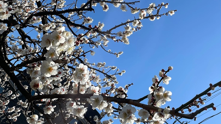 ストーカーに負けたくない。大学卒業のためご支援をお願いいたします。