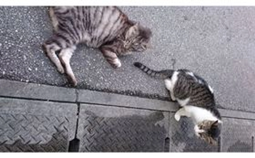 感謝の気持ちを込めたお手紙をお送りします