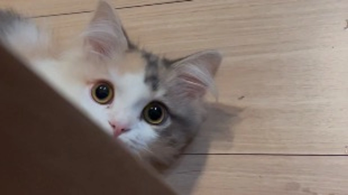 クラウドファンディング終了まで残り５日