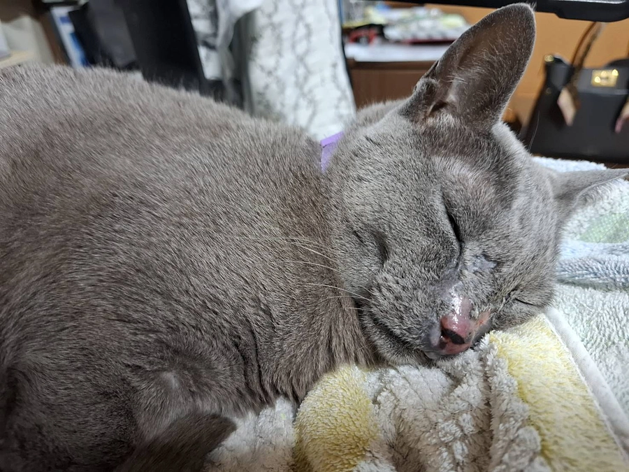 今日、私の放射線治療が終わりました