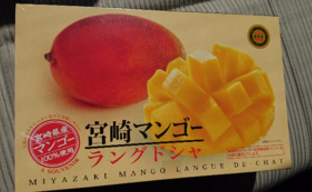 宮崎からのお礼コース